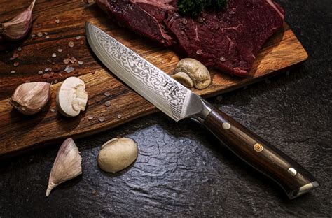 Kitchen Knife Expensive