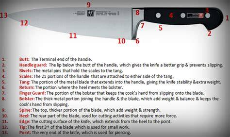 Kitchen Knife Terminology