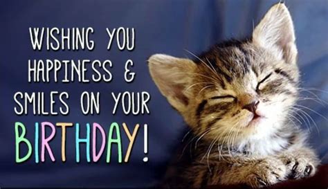Kitten Birthday Quotes