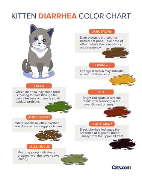 Kitten Diarrhea Color Chart