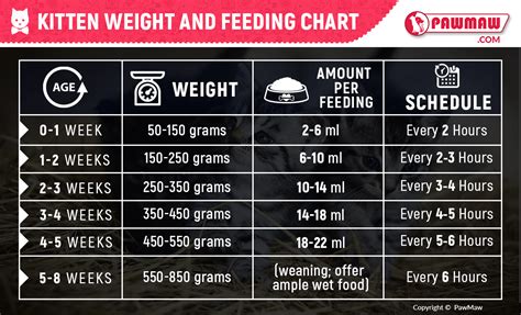 Kitten Food Chart By Weight