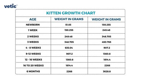 Kitten Weight Growth Chart