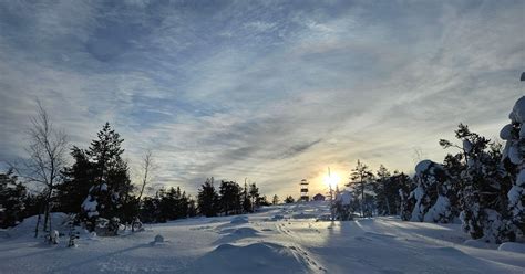 Kivalot Hills forest path
