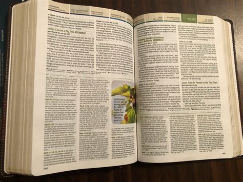 PERSONALIZED ** KJV Chronological Life Application Study Bible Brown