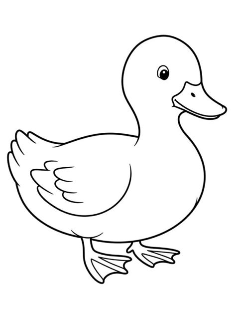 Kleurplaat Eend