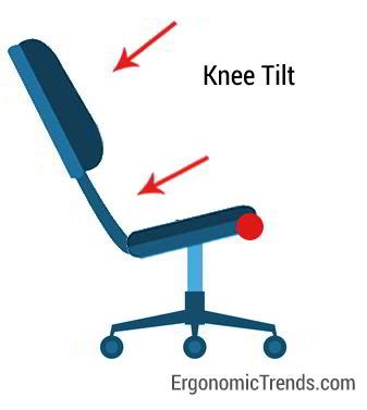 Knee