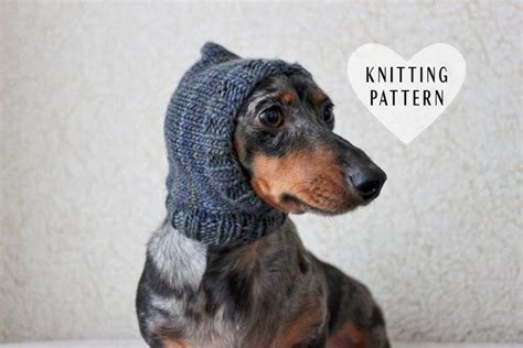 Knit Dog Hat With Ear Holes Pattern Free
