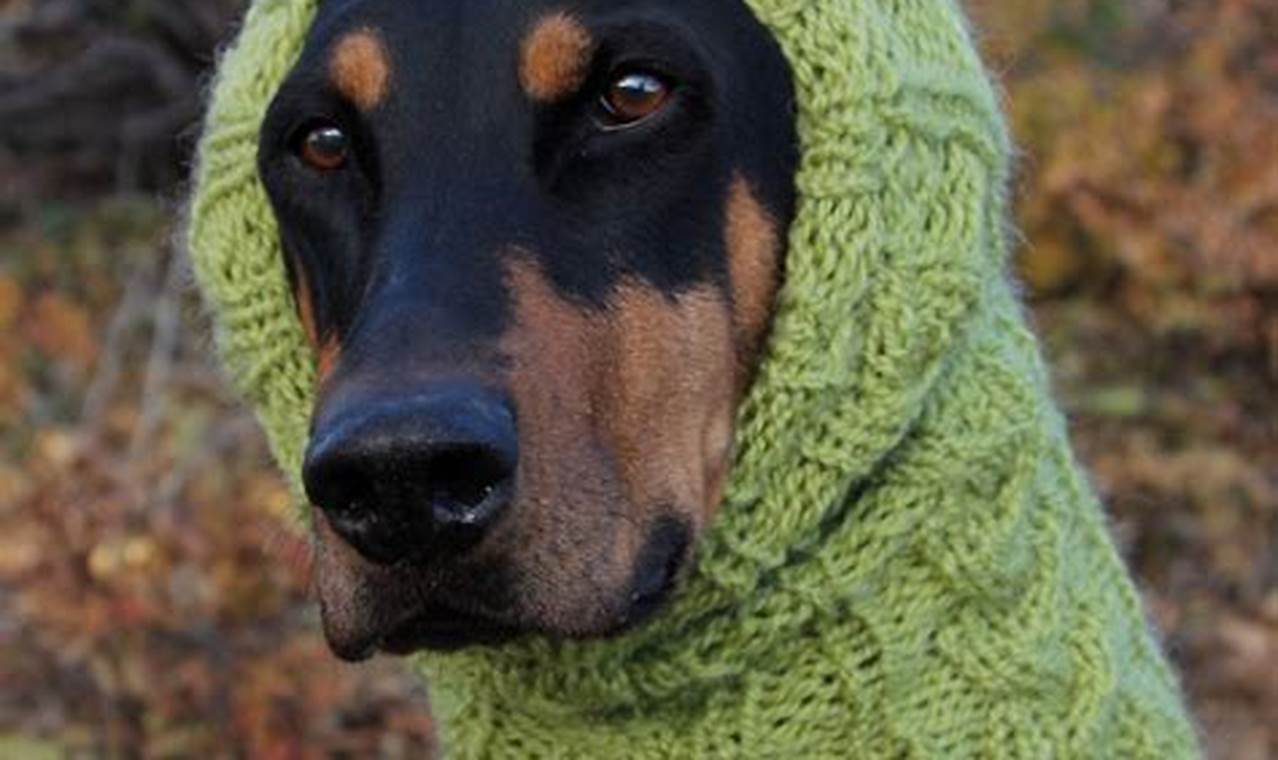 Knitted Dog Snood