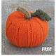 Knitted Pumpkin Pattern Free