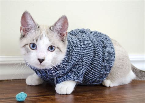 Knitting Patterns For Cat Sweaters