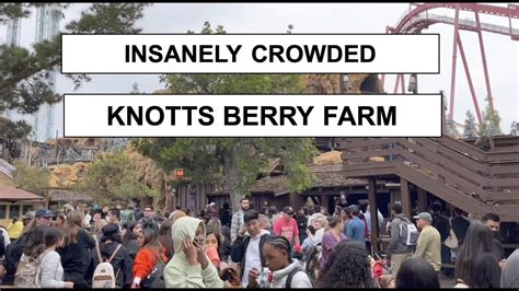 Knott'S Berry Farm How Busy