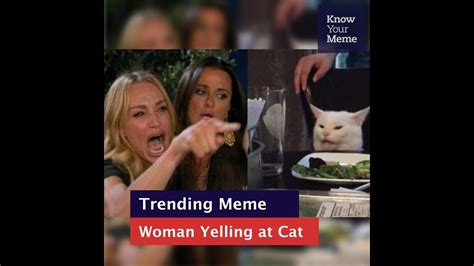 Know Your Meme Cat Yelling