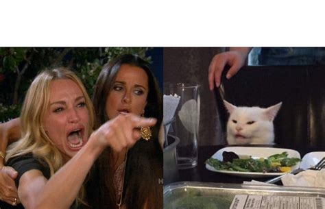 Know Your Meme Lady Yelling At Cat