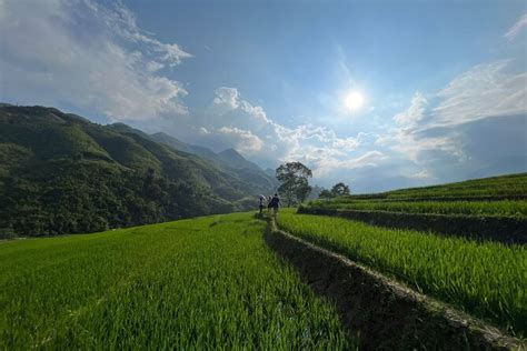 Knowledgeable Local Guide