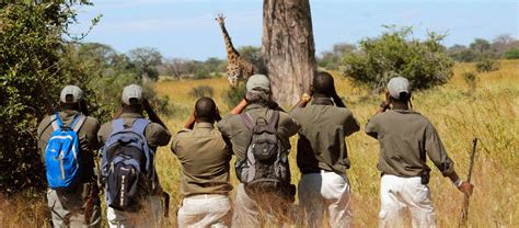 Knowledgeable Safari Guides