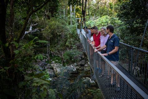 Knowledgeable tour guide rainforest