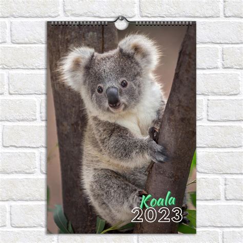 Koala Bear Calendar