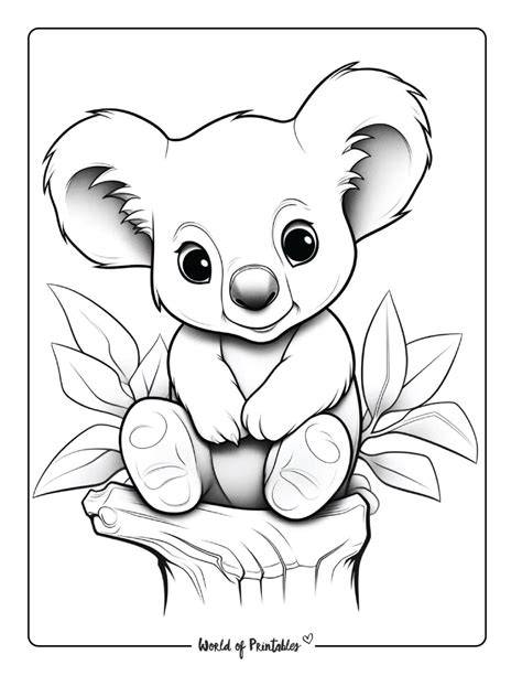 Koala Coloring Pages