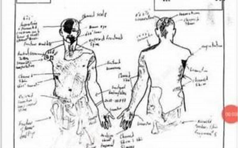 Kobe and Gigi Autopsy Sketch: A Look at the Controversial Release