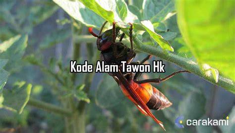 Kode Alam Hk