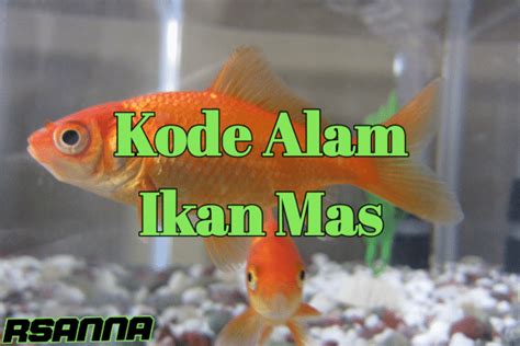Kode Alam Ikan