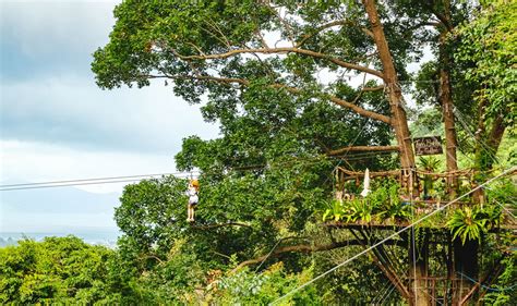 Koh Samui Tree Bridge Entrance