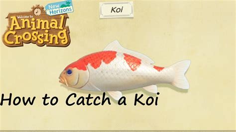 Discover the Beauty and Serenity of Koi Fish in Animal Crossing New Horizons: A Complete Guide