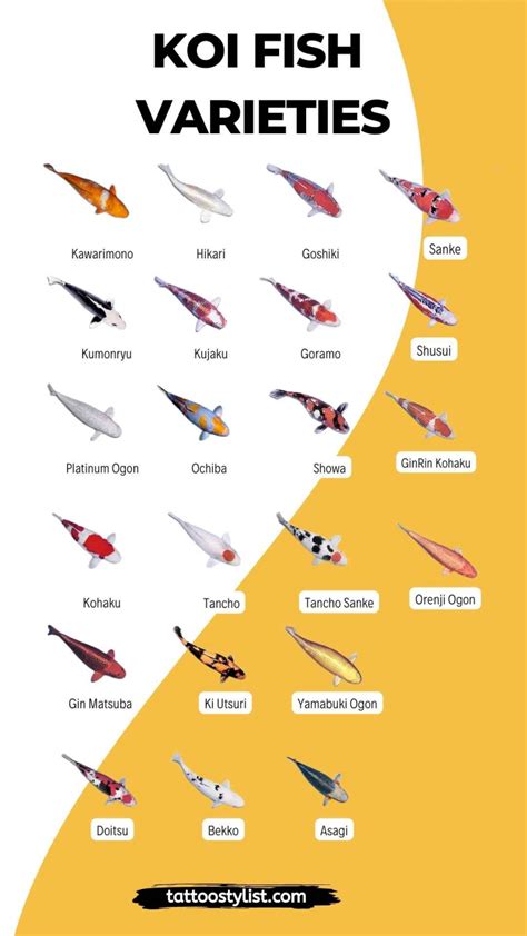 65+ Japanese Koi Fish Tattoo Designs & Meanings True