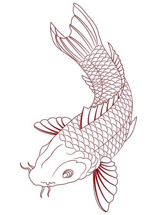 Koi Fish Tattoo Template