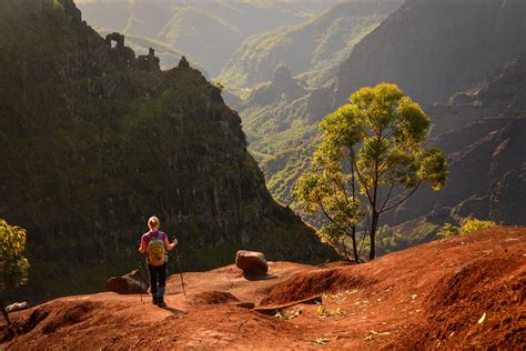 The Beauty of Kauai - Koke'e State Park Lookout [OC] [5472x3648] : r