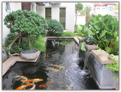 kolam ikan depan rumah