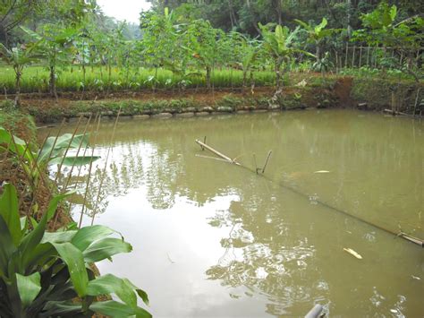 kolam tradisional