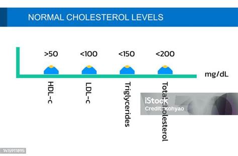 Kolesterol Normal