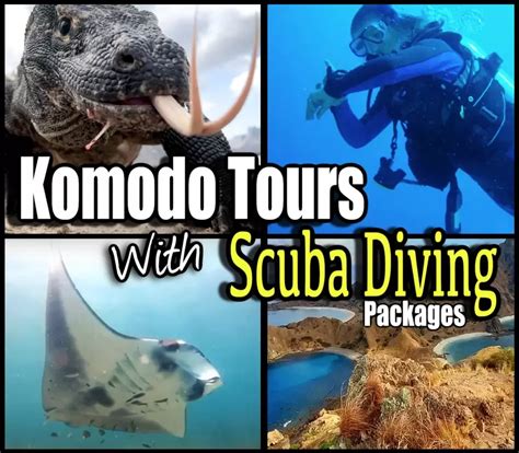 Komodo Diving Operator