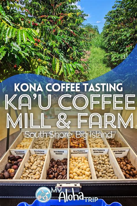 Kona Coffee tasting