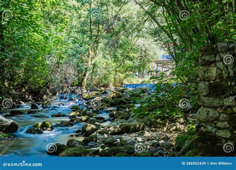 Konavle Valley Landscape