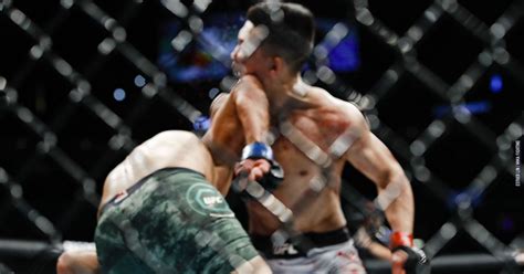 Korean Zombie Knockout Video