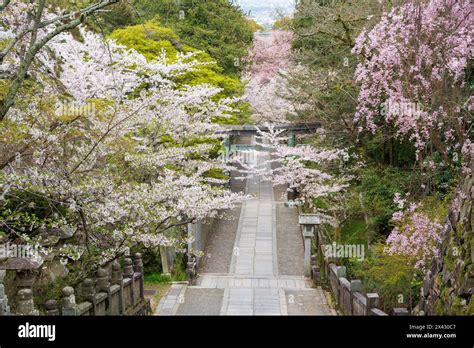 Kotohira Private Transfer: Takamatsu Airport Review & Guide