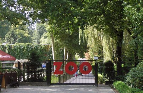 Krakow Zoo Trip: Is a Private Luxury Transfer Really Worth It?