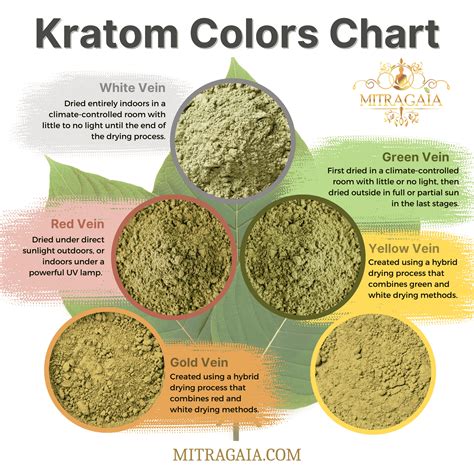 Kratom Types Chart