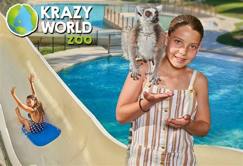 Krazy World Zoo