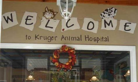 Kruger Animal Hospital Normal IL: High-Quality Veterinary Care for Your Beloved Pets