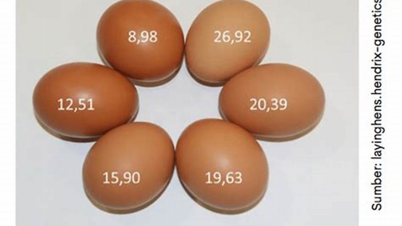 Kualitas Telur, Resep6-10k