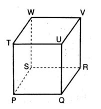 Kubus PQRS TUWV: Menjelajahi Keindahan Geometri 3D