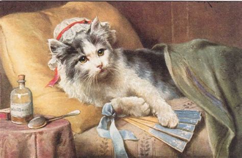 Kucing dalam Budaya Populer