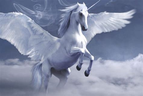 Kuda Terbang