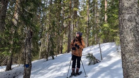Kuhmo Winter Activities
