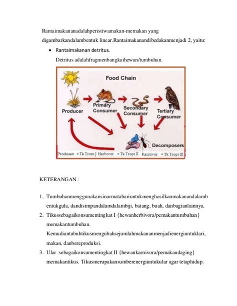 Kumpulan Soal Tentang Ekosistem