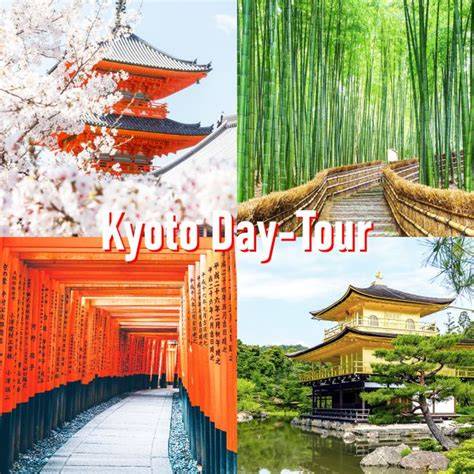 Kyoto Customized Tour