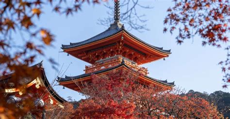 Kyoto Tour Booking
